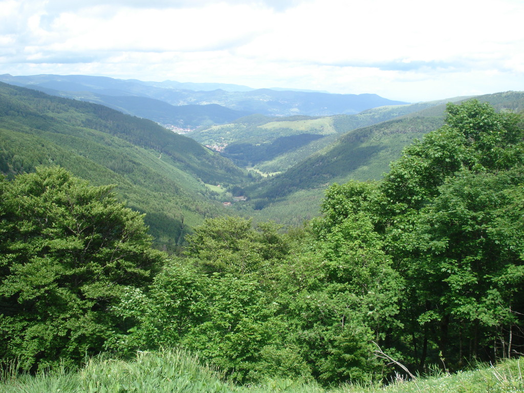 Die Vogesen